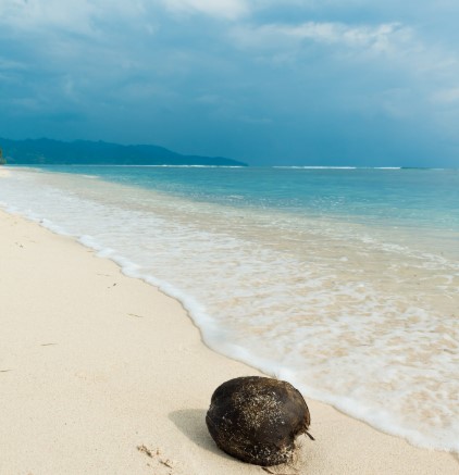 Kuşadası Denizi Nasıl? Taş ve Kum Plaj Listesi 2025