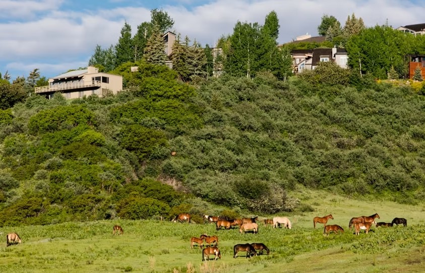 Kuşadası Soğucak Köyü Rehberi ve Ulaşım