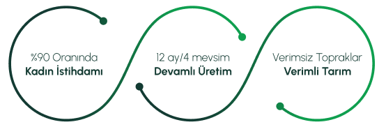 alternatif